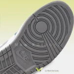 زیره ایر جردن ۱ لو ترو بلو