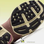 زیره نایک رانتک