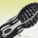 زیره نایک ایر پگاسوس