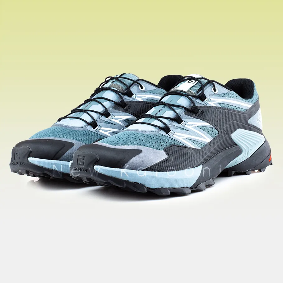 سالامون وینگز اسکای