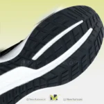 زیره ساکونی سرج