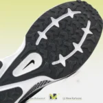 کتونی نایک ایر مکس وینفلو ایر ران (FV5285-010)